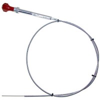 Vernier